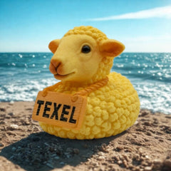 Texels Badeend schaap