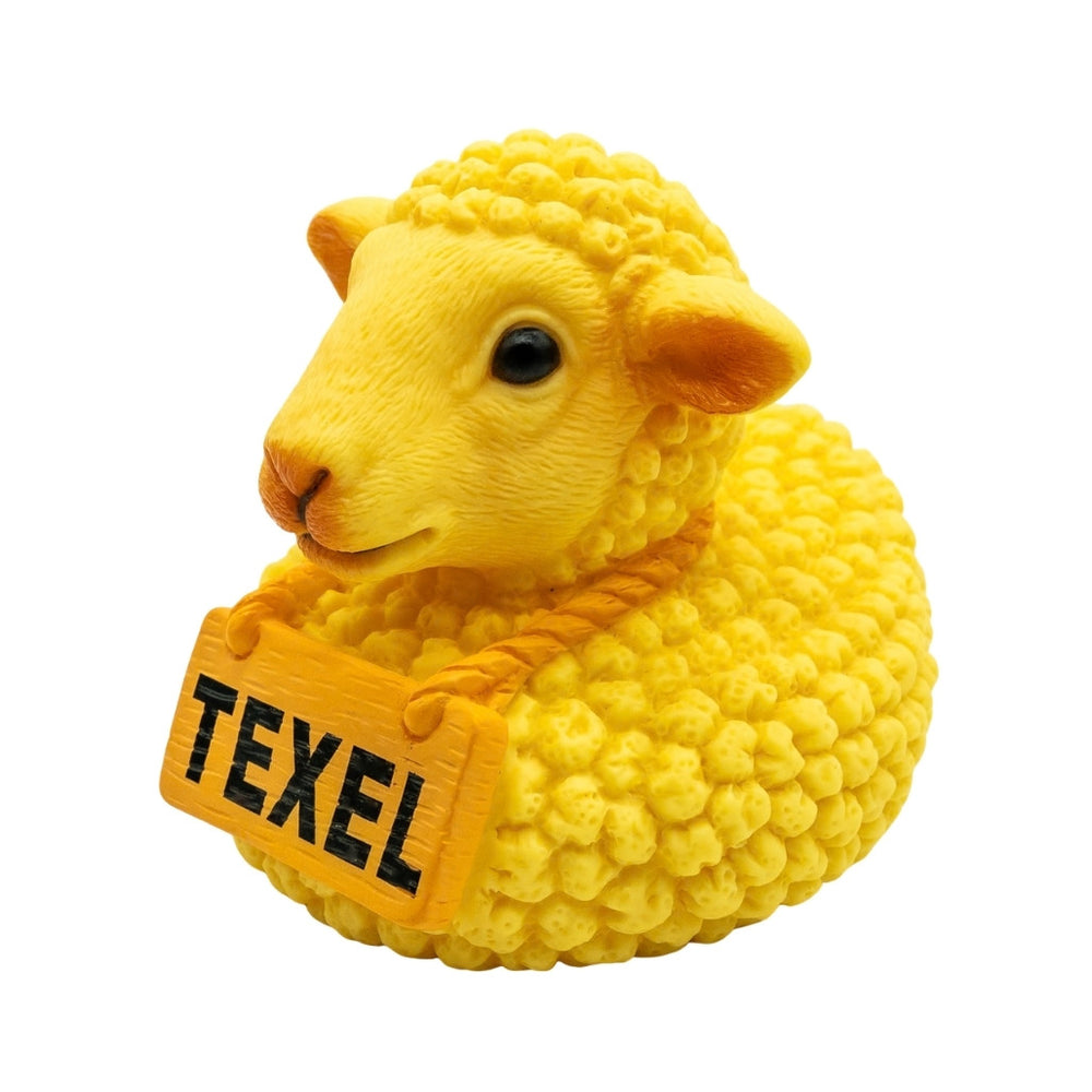  Texels Badeend schaap 2