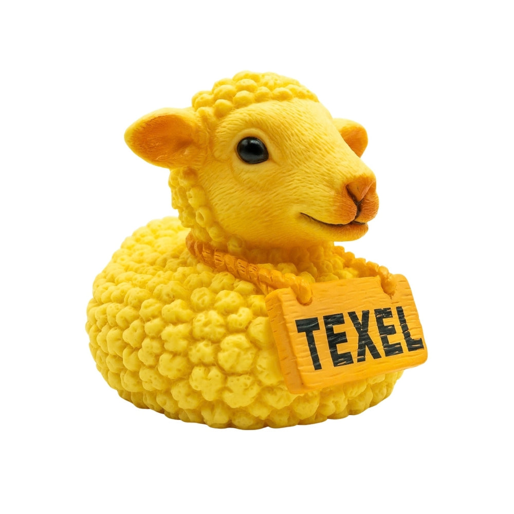 Texels Badeend schaap 4