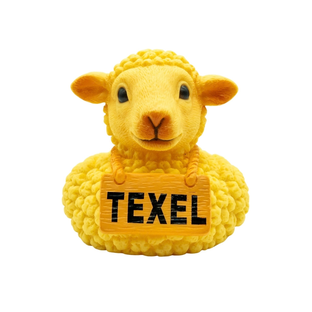 Texels Badeend schaap 5