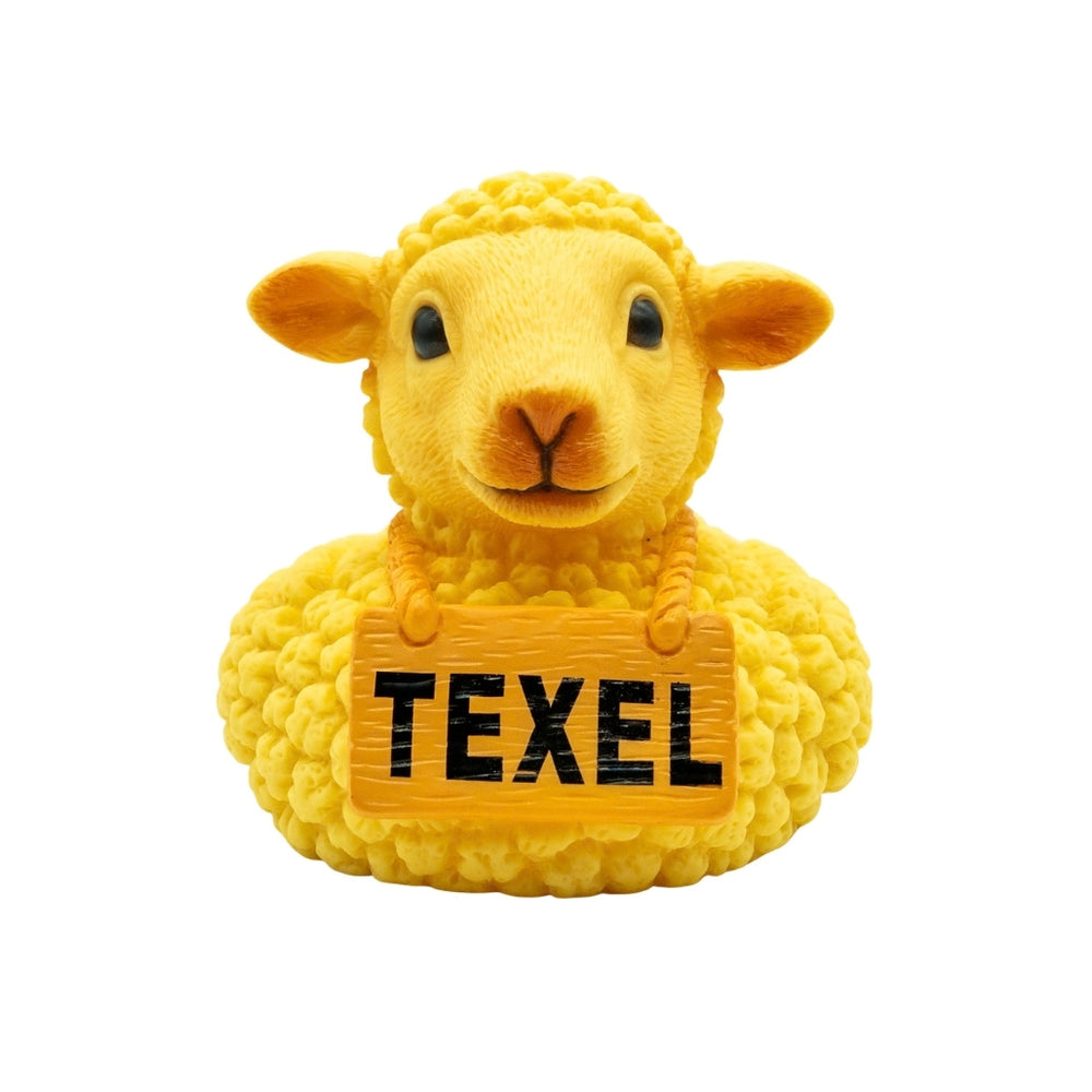 Texels Badeend schaap 5