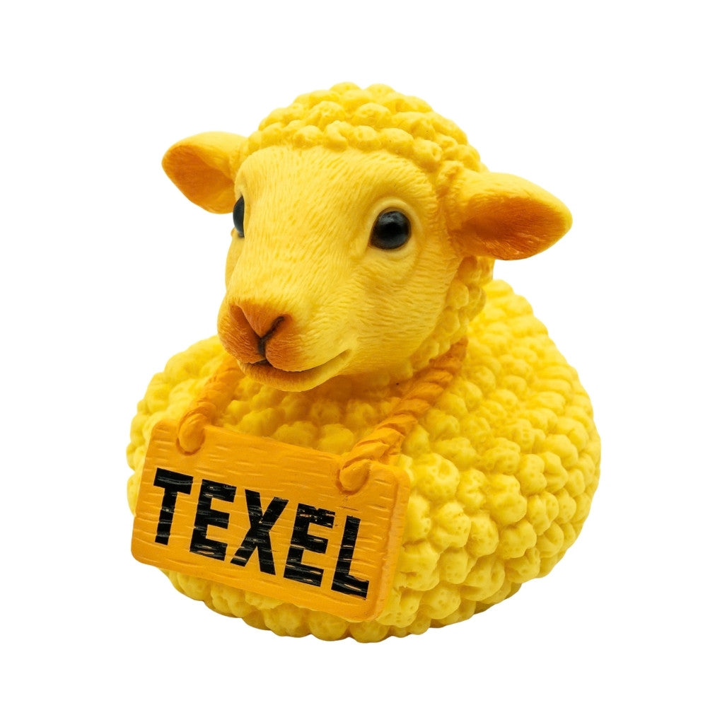 Texels Badeend schaap 6