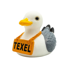 Texelse Meeuw Badeend