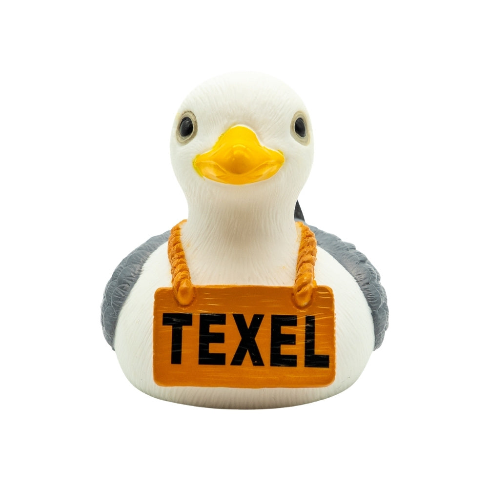 Texelse Meeuw Badeend